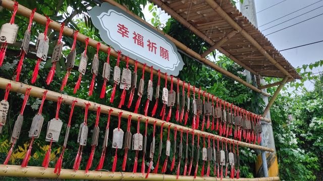 山門四季 · 佛寶山日常 25
